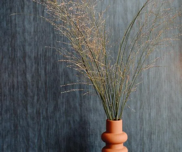 Suedspeicher 酒店 卡珀尔恩