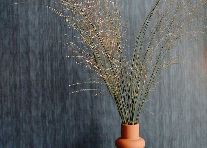 Suedspeicher * Kappeln